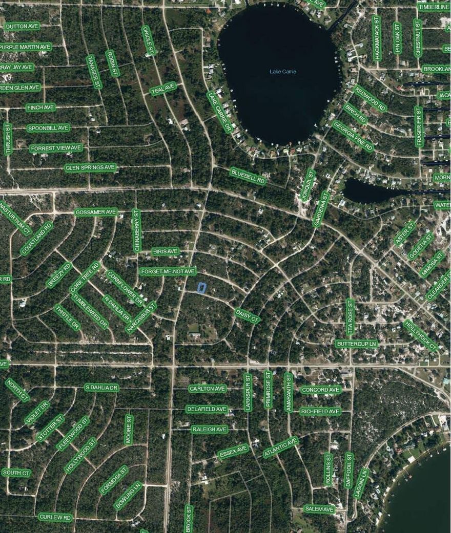 VACANT RESIDENTIAL BUILDING LOT 75' X 125' X 86' X 125' .23 ACRE SUBJECT PROPERTY IS LOCATED CLOSE TO LAKE CARRIE AND LAKE JUNE-IN-WINTER. LEISURE LAKES NEIGHBORHOOD IS A QUIET PEACEFUL AND UNDERDEVELOPED WITH PLENTY OF ROOM FOR FUTURE GROWTH.