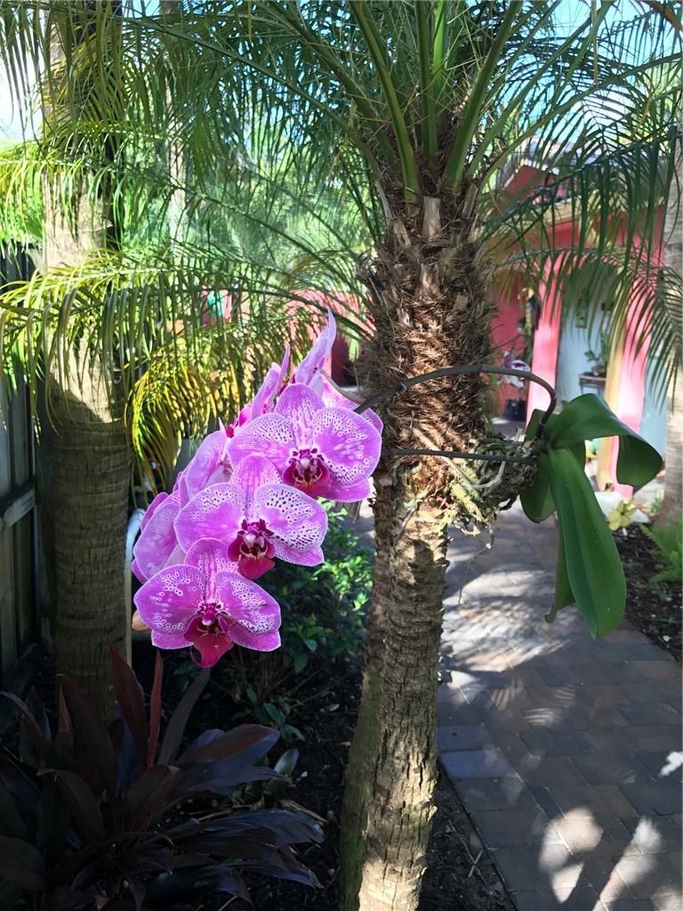 Progresso 2-18 D - Residential Lease