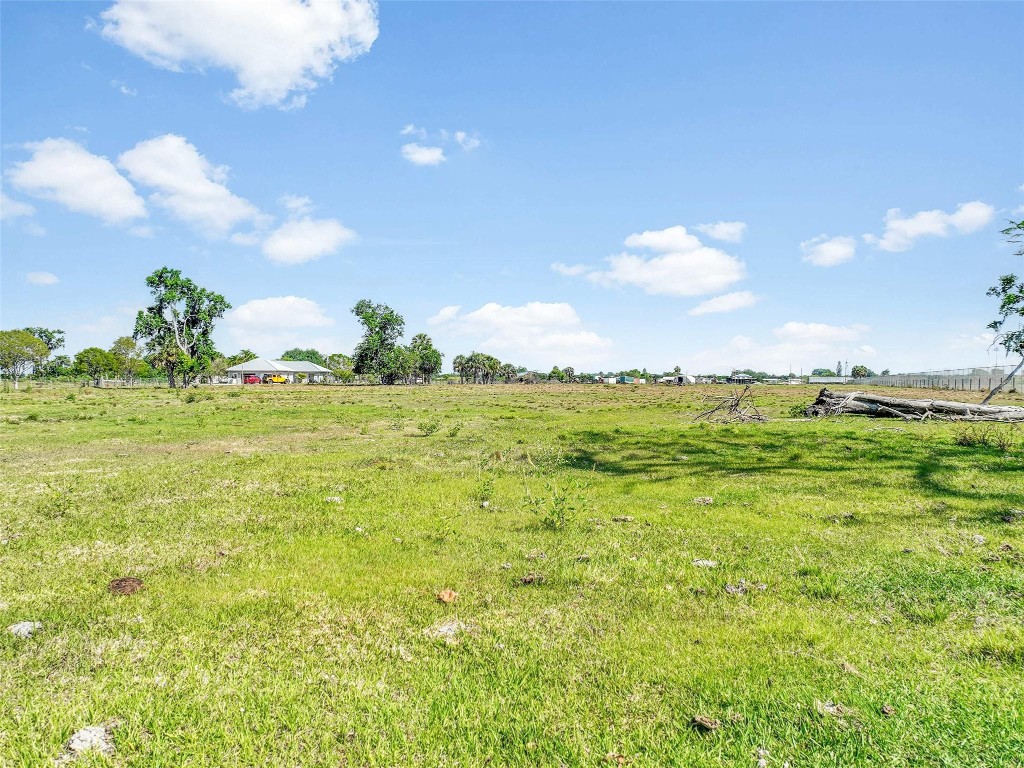 That's Up to You! - Land