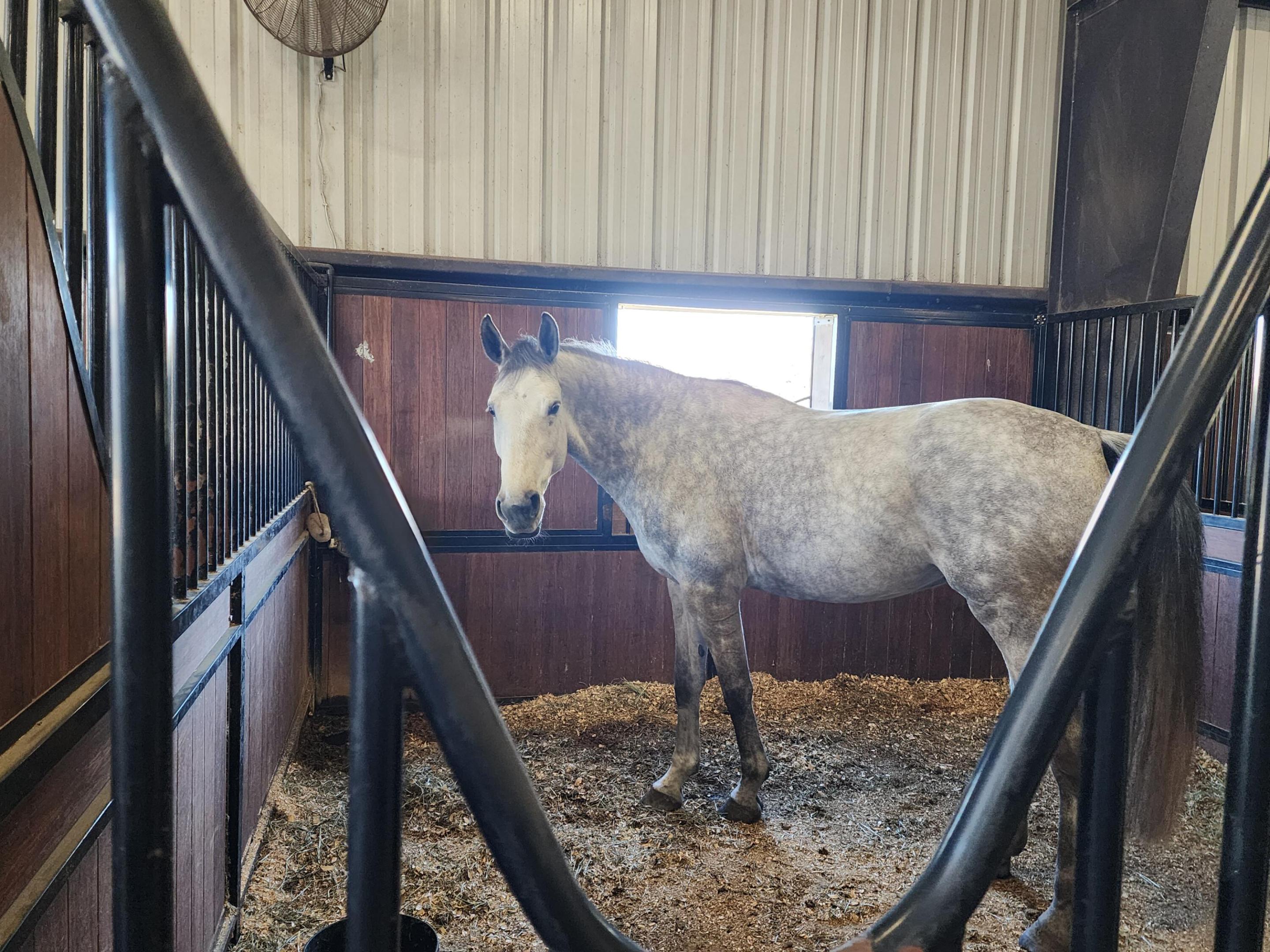 Acreage non subdivision - Residential