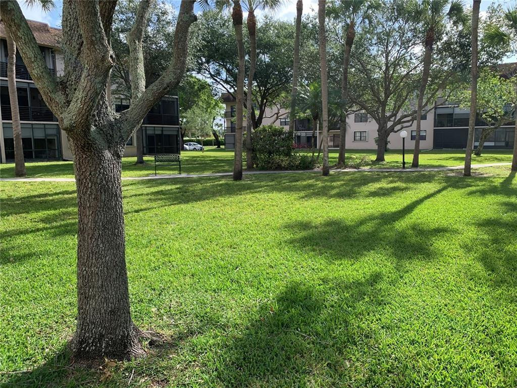 LAKES OF CARRIAGE HILLS - Residential