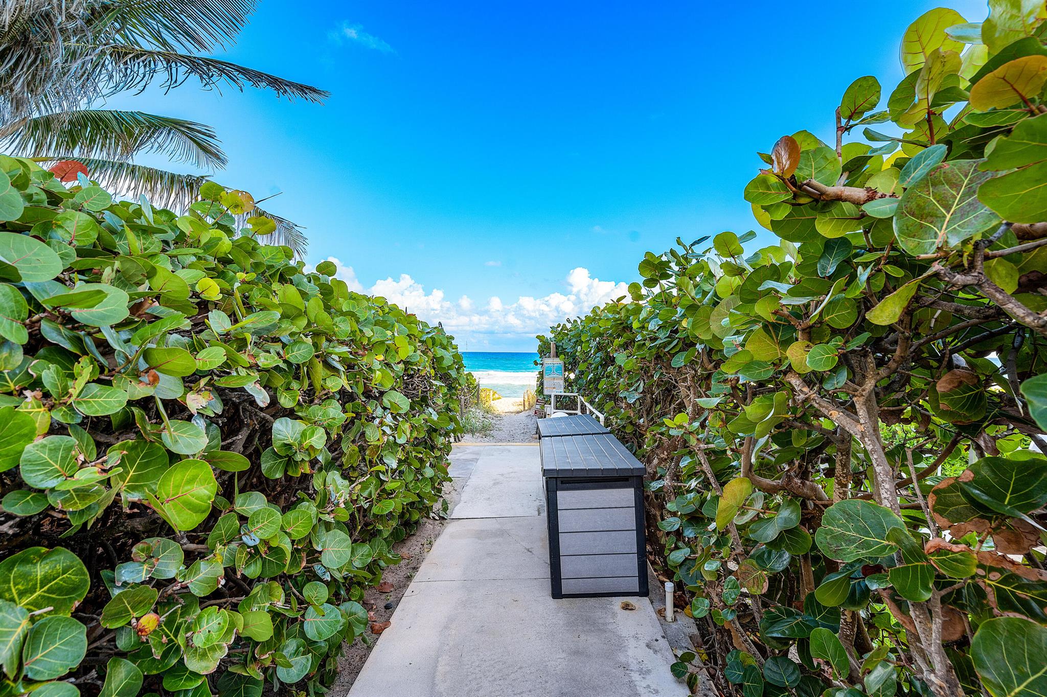 REGENCY OF PALM BEACH INC - Residential