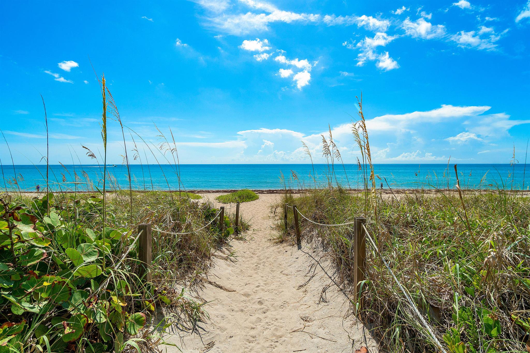 REGENCY OF PALM BEACH INC - Residential