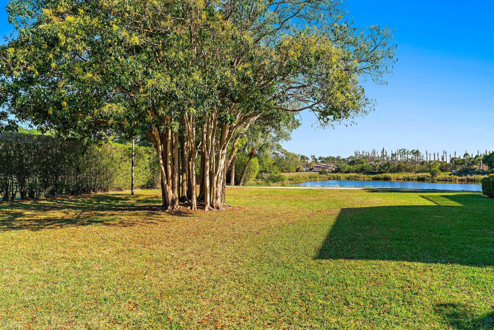 Winchester Courts - Residential