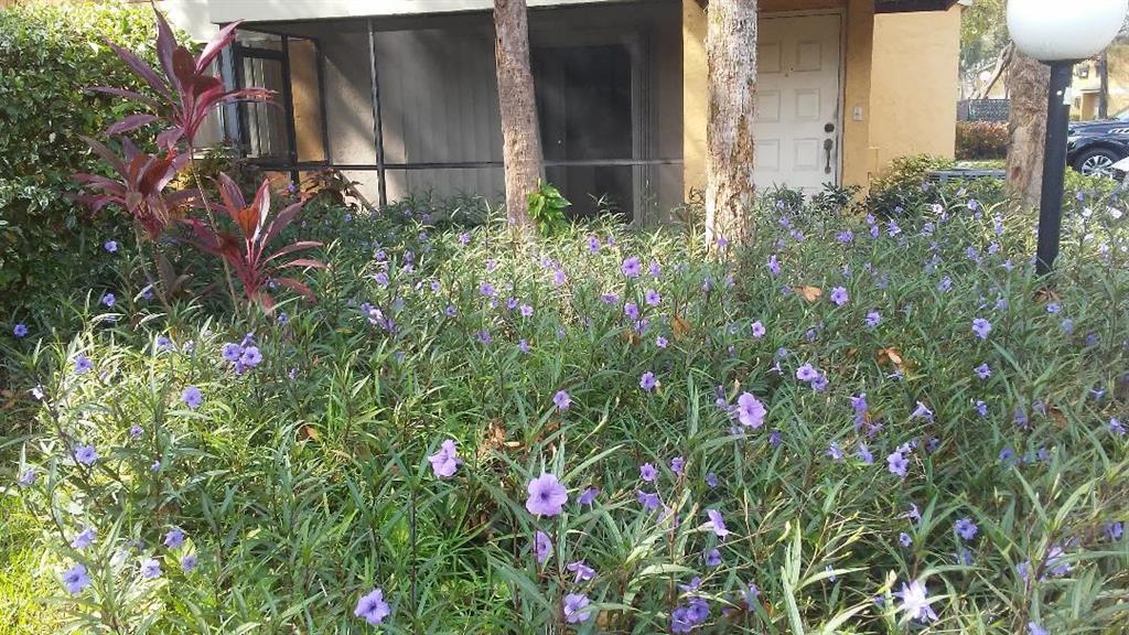 OAKLAND FOREST CLUB - Residential