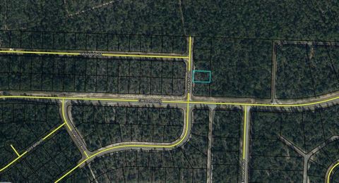 Tbd Sullivan Drive 4 Chipley FL 32428