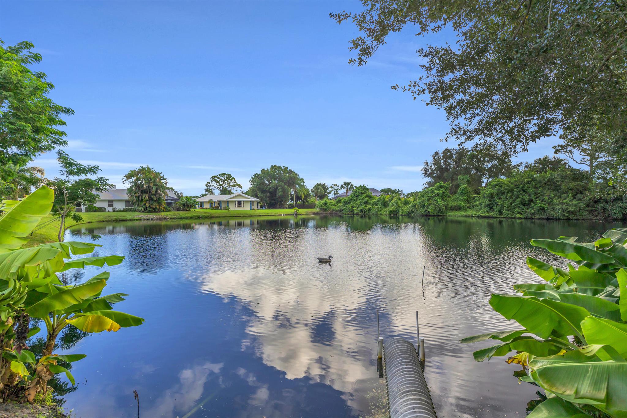 IROQUOIS PARK - Residential