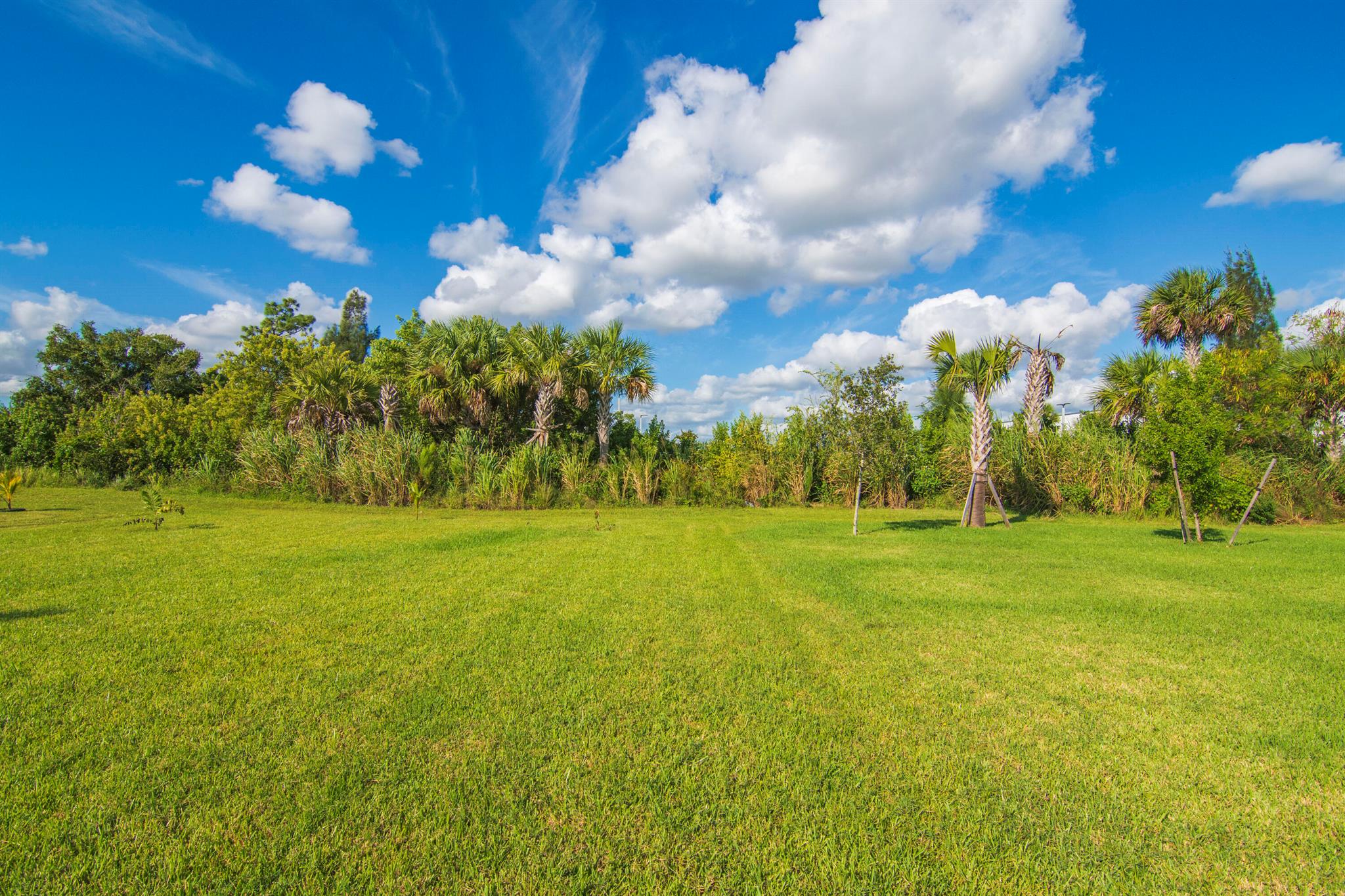 AVALON CROSSING PHASE II - Residential