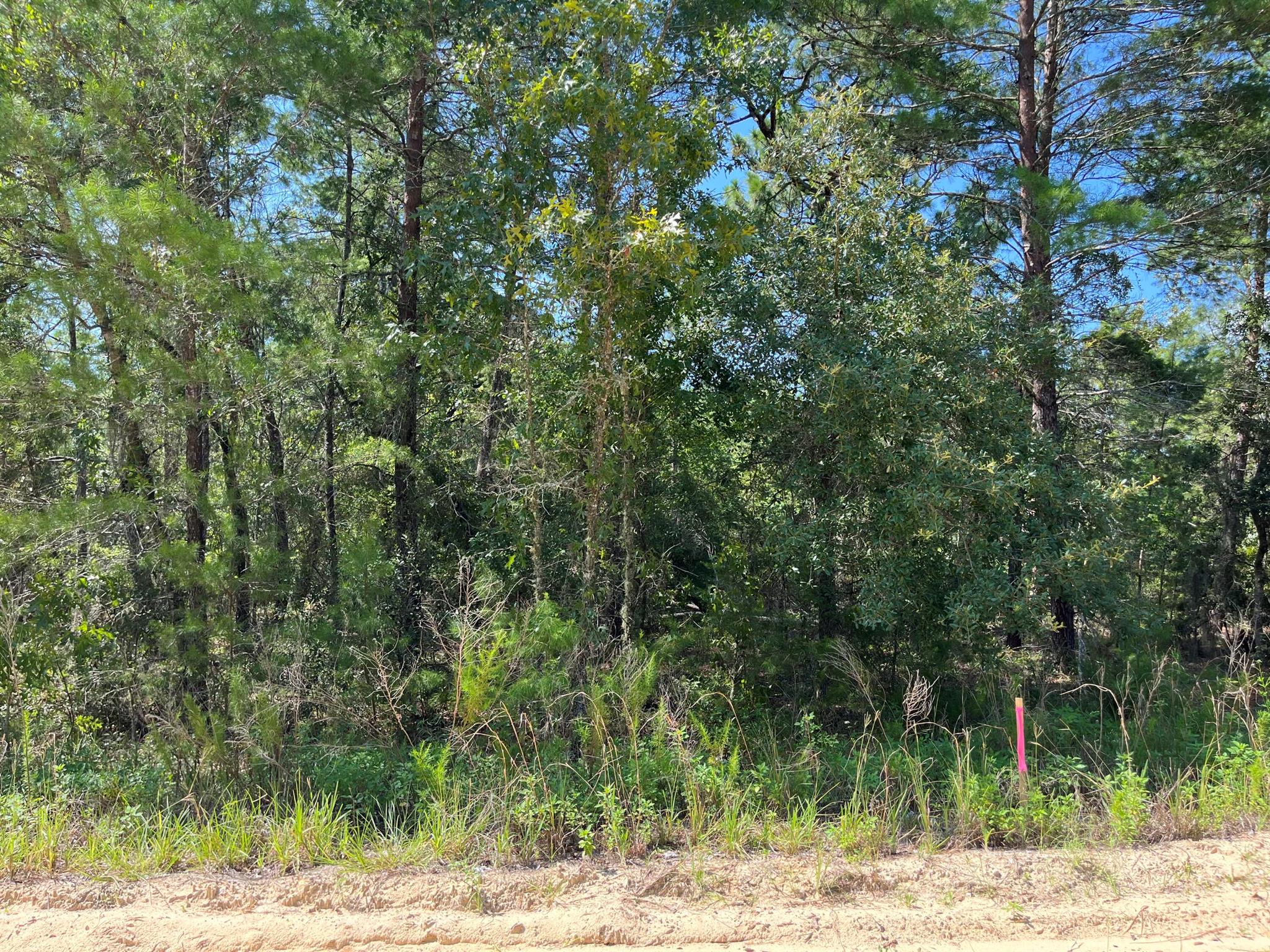 Owner financing is available! Build or bring your mobile home to this stunning oversized 0.46 acre lot in the growing city of Interlachen. With power lines already in place, accessing electricity is a breeze. Located within minutes of schools, restaurants, diners, and parks. An easy commute to Gainesville or Palatka and less than an hour from the beach. Investing in land in Florida is a wise choice for your future, whether you're looking to build your dream home, a vacation getaway, a rental property, or simply let the land appreciate as a valuable long-term asset to resell at a profit in the future.