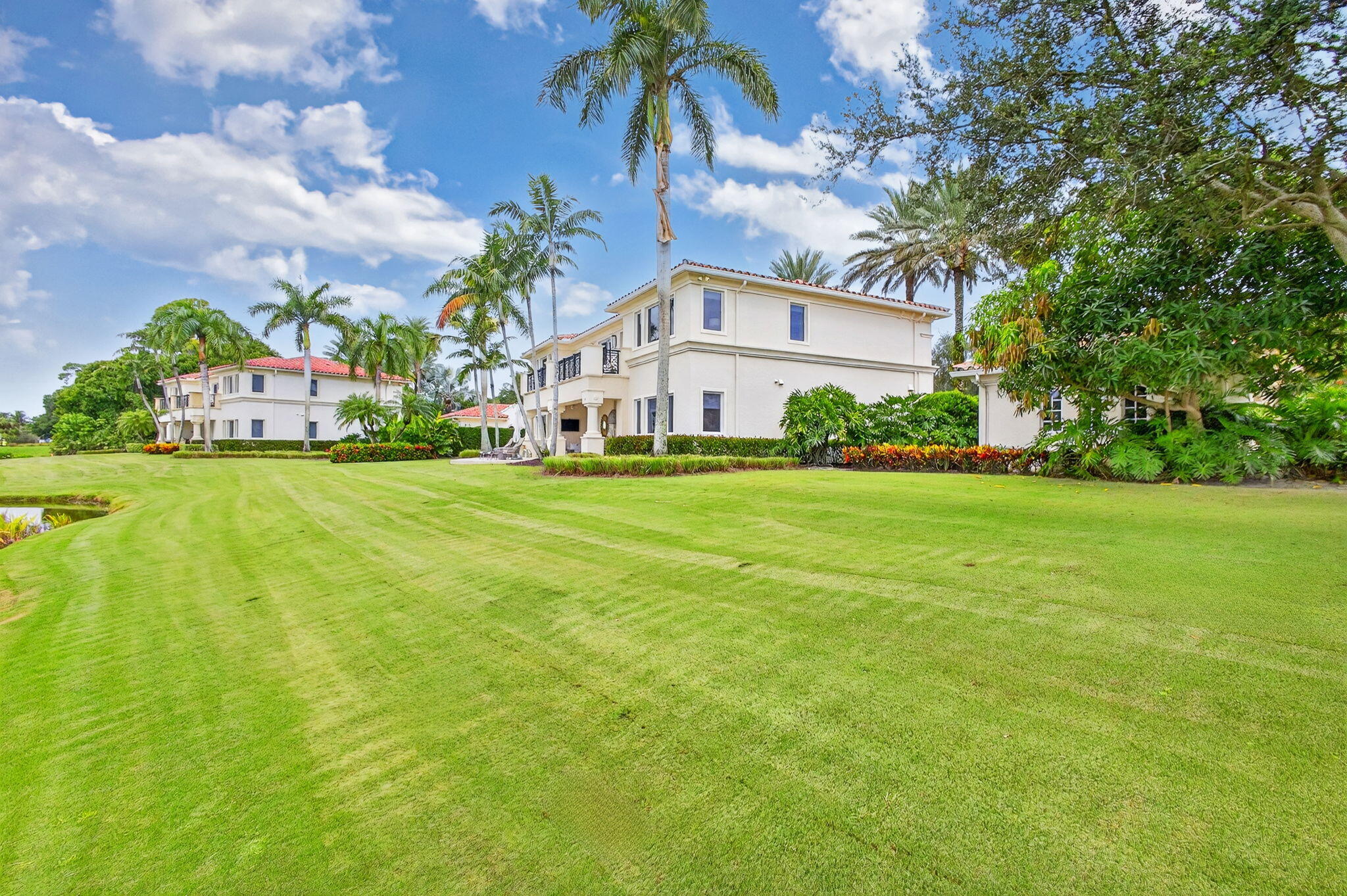 OLD PALM 5 - Residential