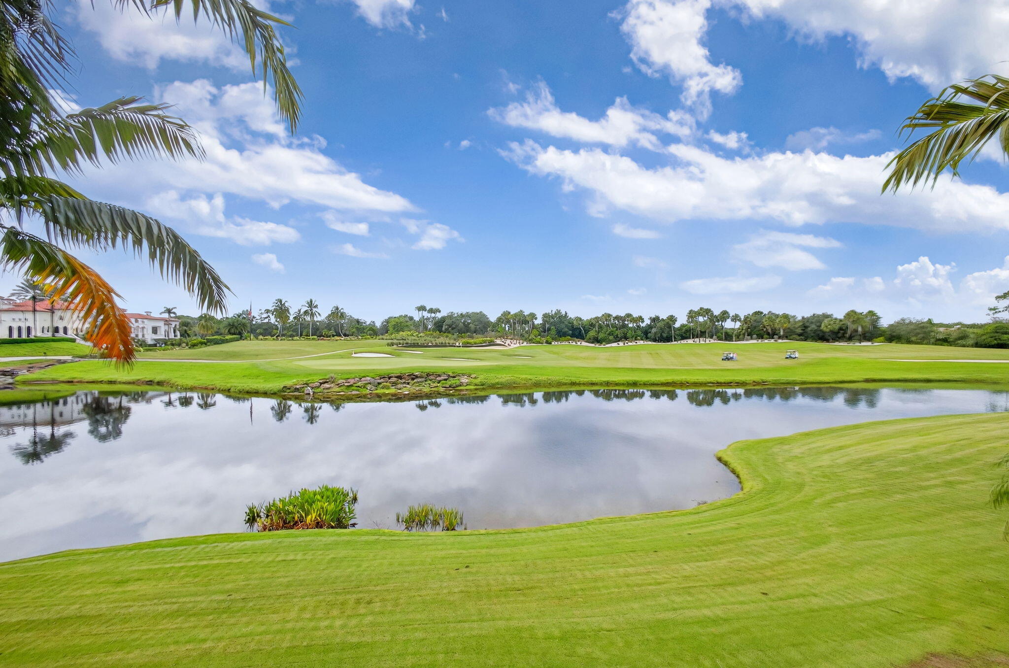 OLD PALM 5 - Residential