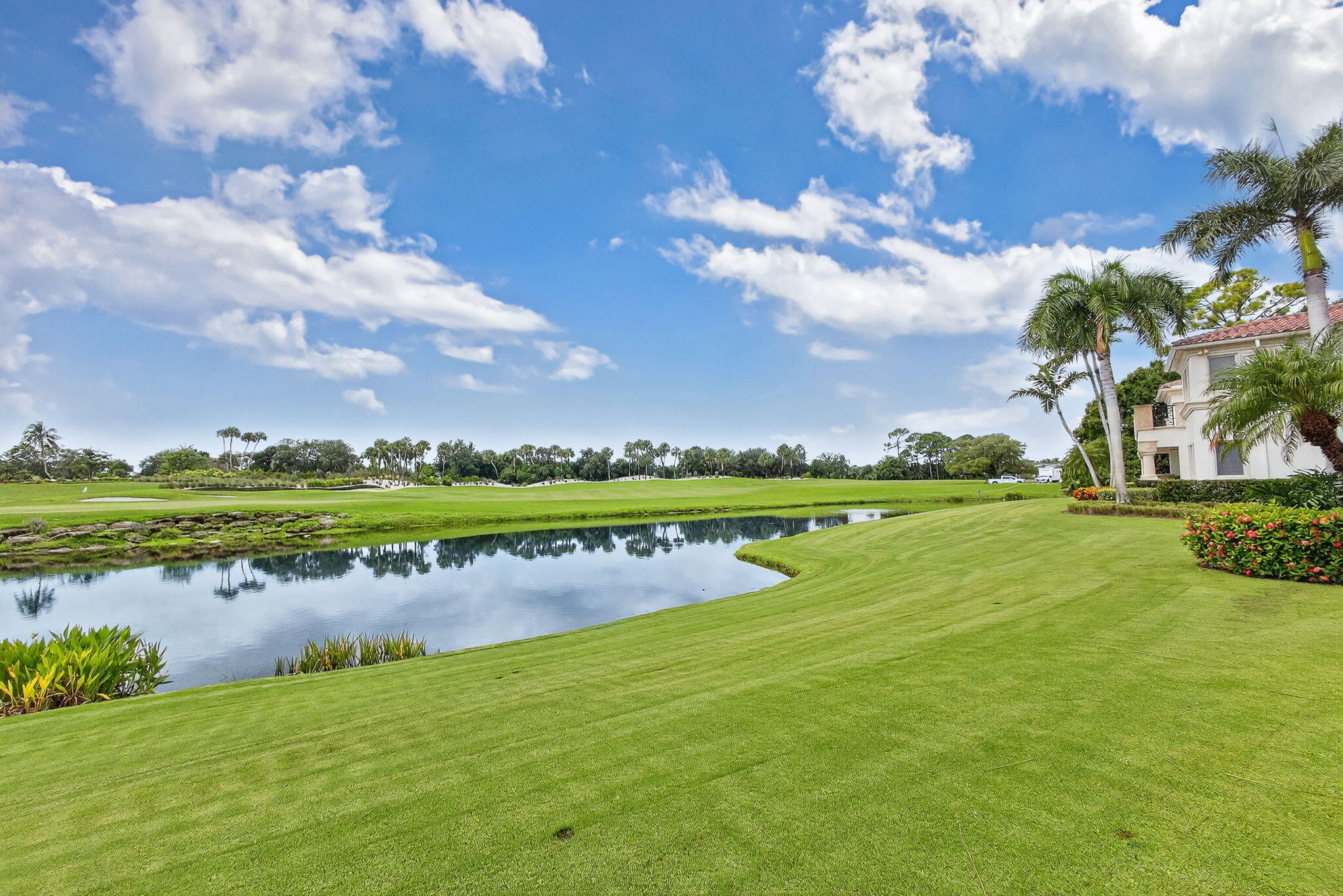 OLD PALM 5 - Residential