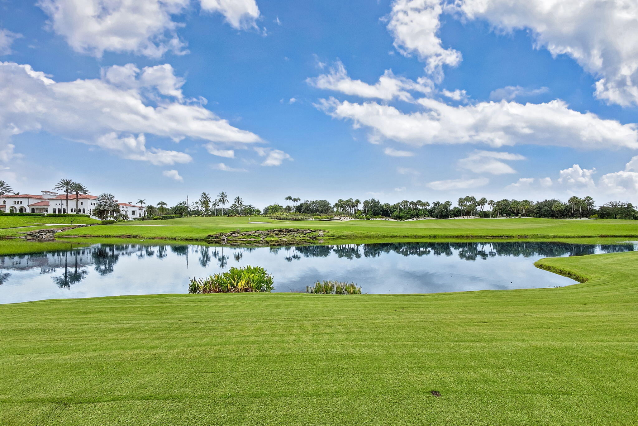 OLD PALM 5 - Residential