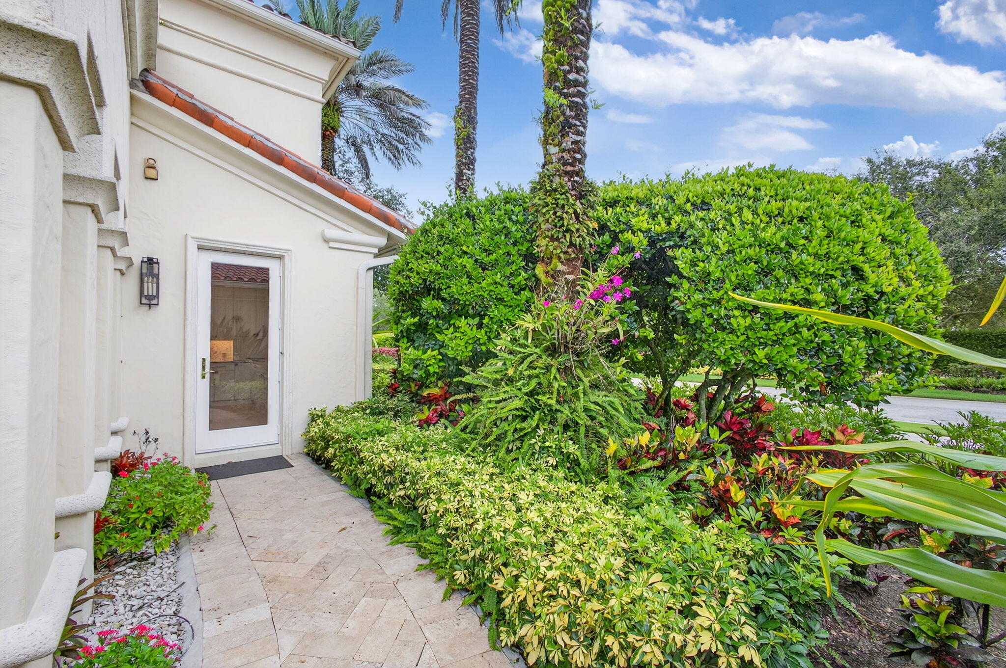 OLD PALM 5 - Residential