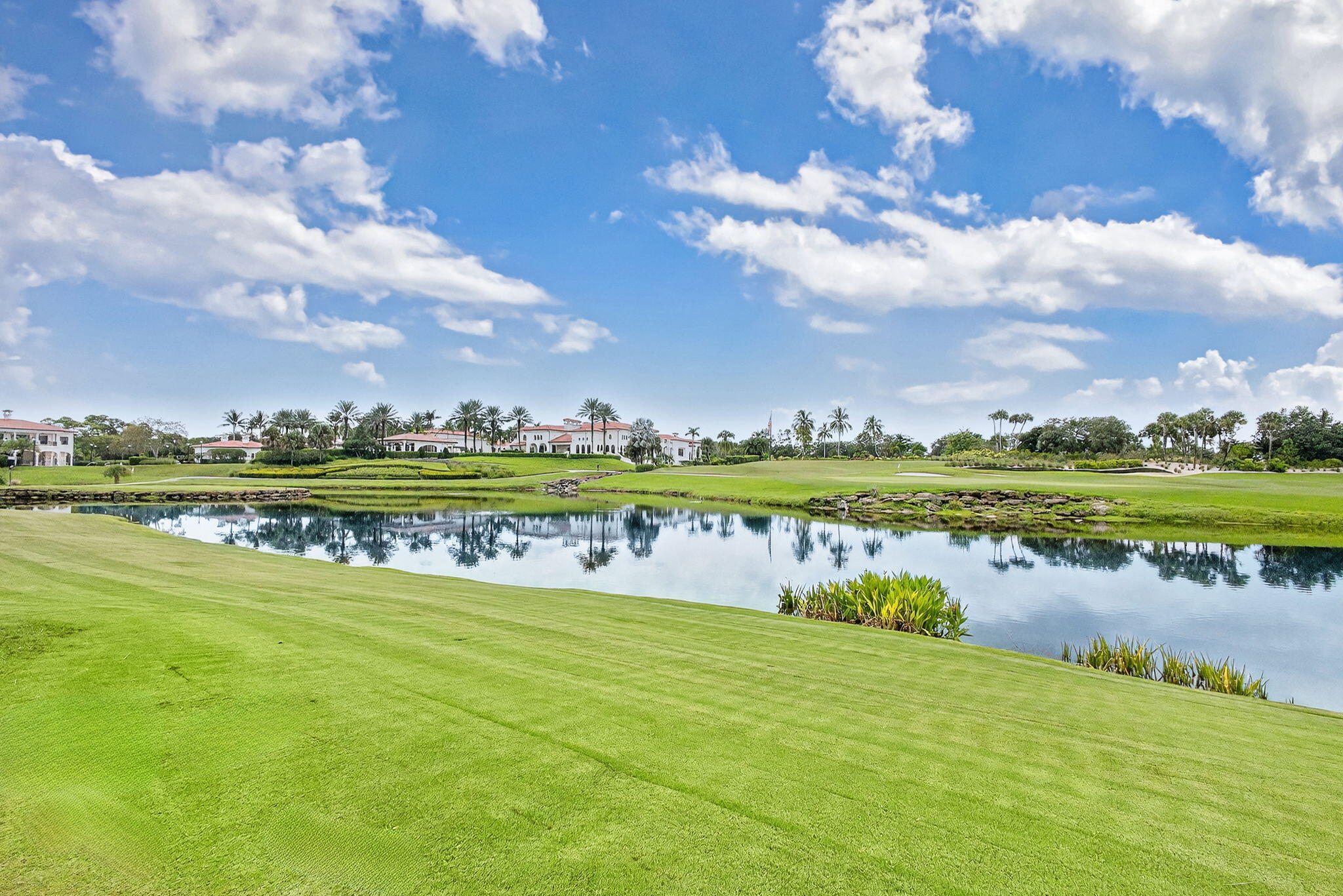 OLD PALM 5 - Residential