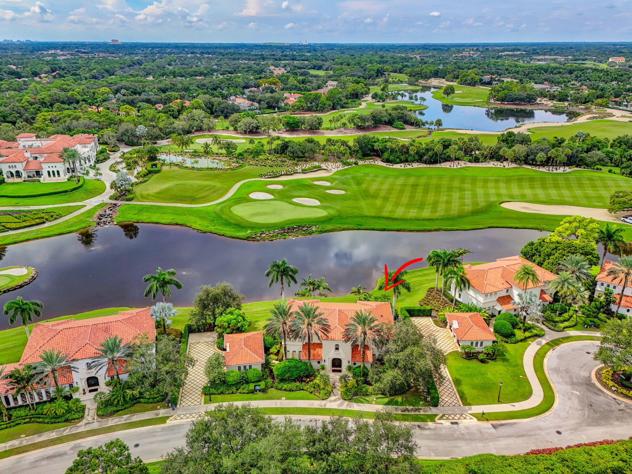 OLD PALM 5 - Residential