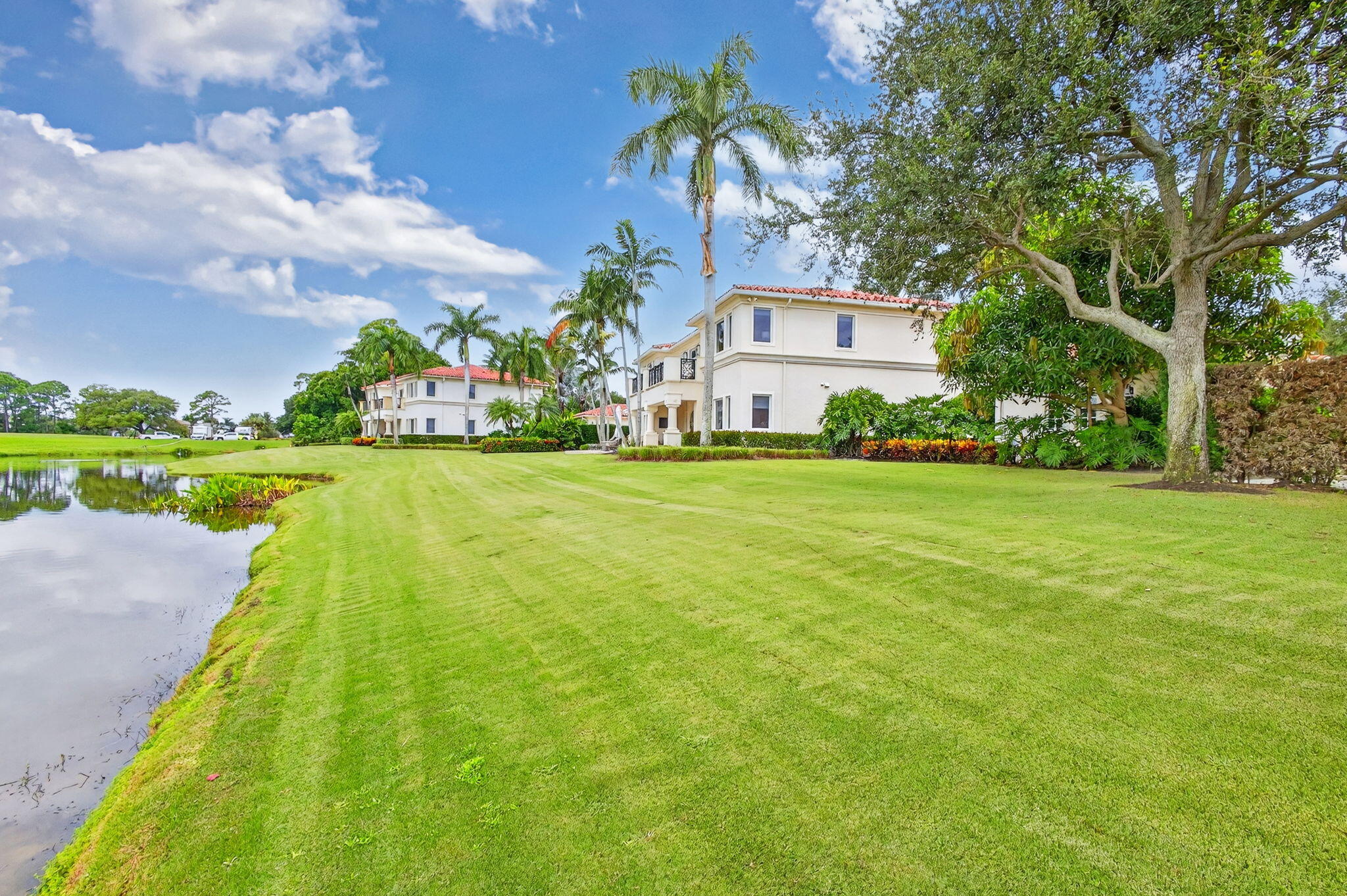 OLD PALM 5 - Residential