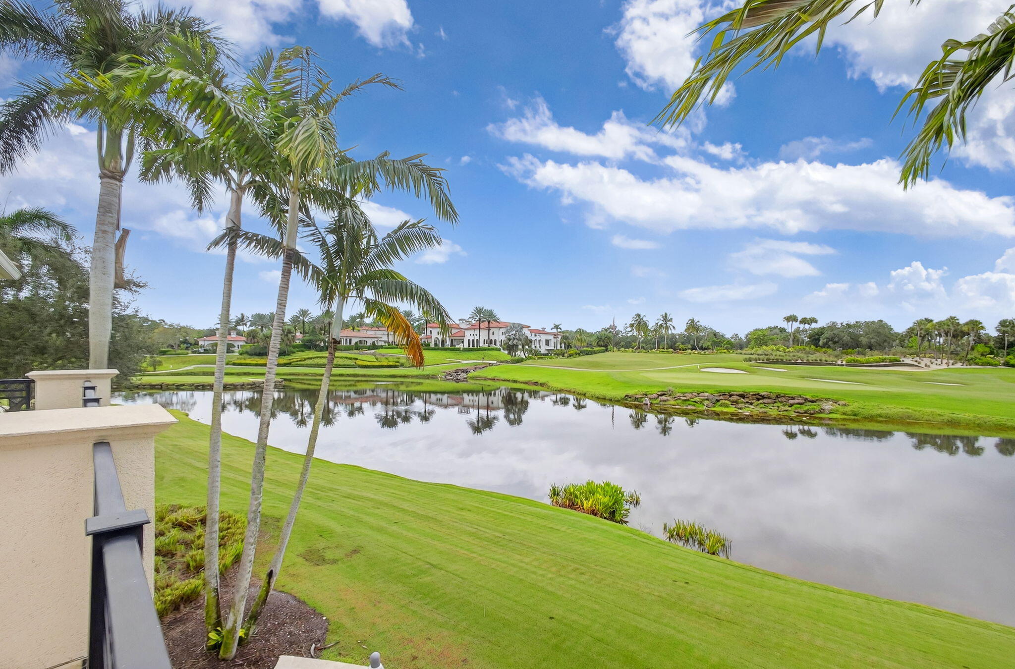 OLD PALM 5 - Residential