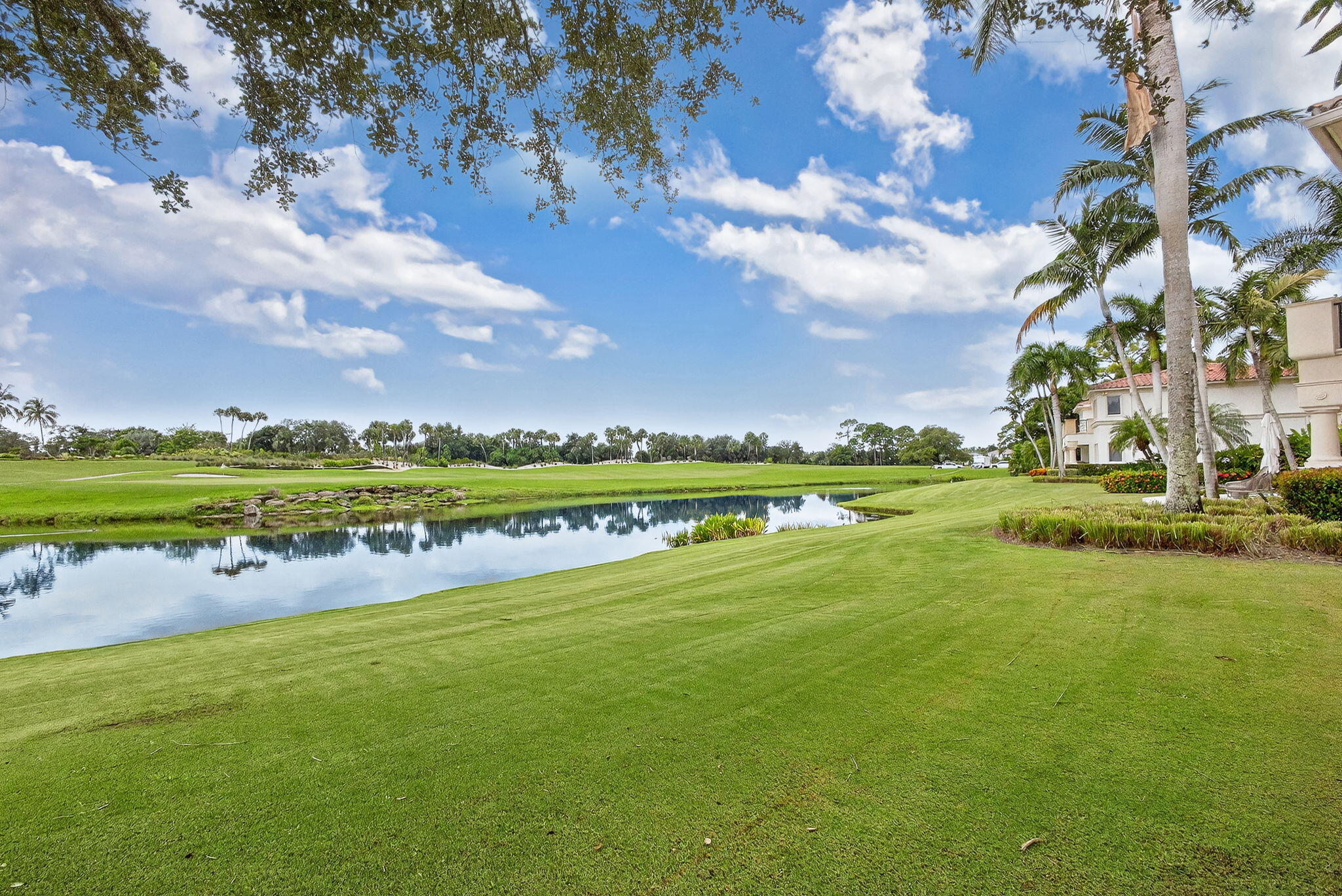 OLD PALM 5 - Residential