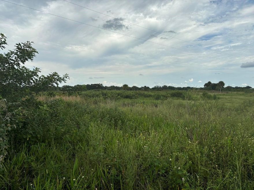 This beautiful 20 acre property includes Culvert, Fenced, Pond, Power Poles, Selectively Cleared, and Survey!Perfect for a farm with animals, missing barn!Owner Finance with $50k down