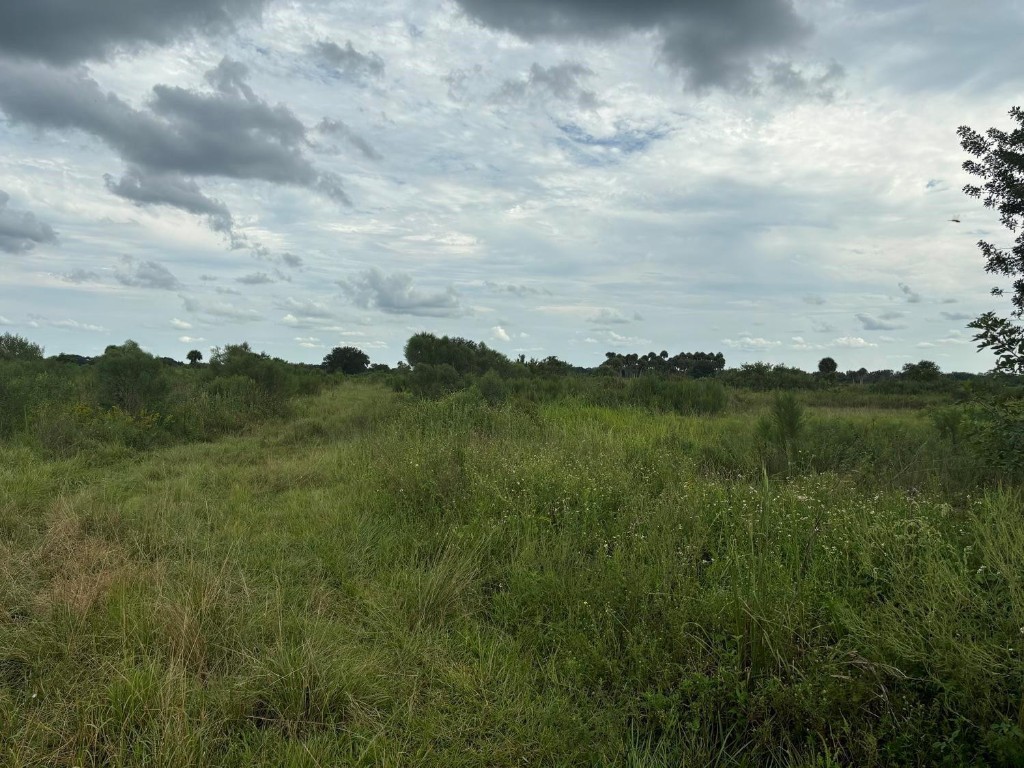 Viking Estates - Land