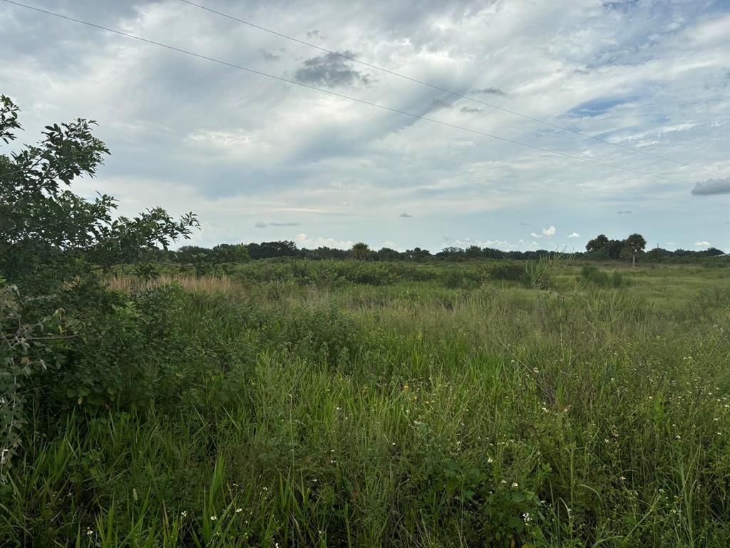 This beautiful 20 acre property includes Culvert, Fenced, Pond, Power Poles, Selectively Cleared, and Survey!
Perfect for a farm with animals, missing barn!
Owner Finance with $50k down