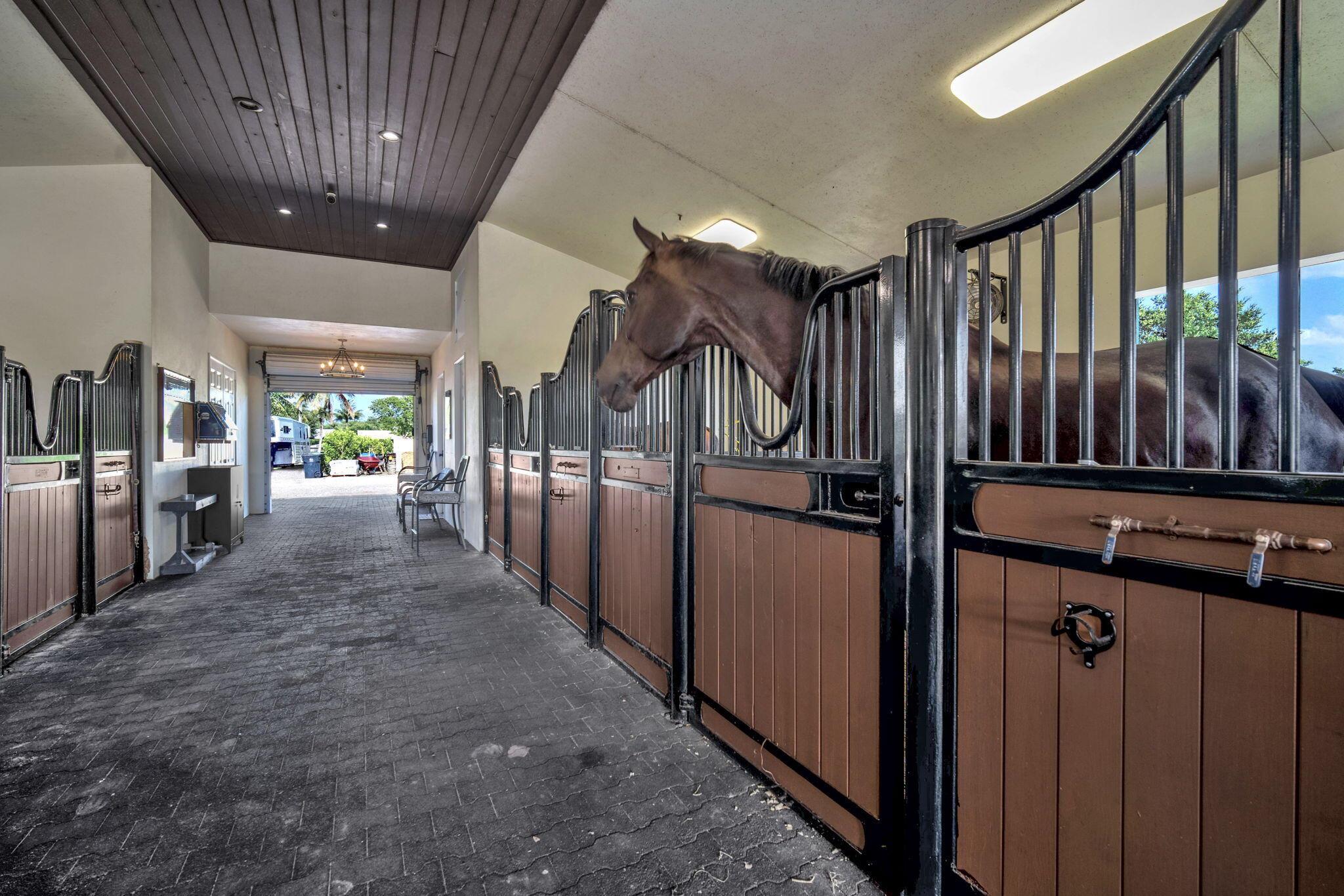 PADDOCK PARK 2 OF WELLING - Residential