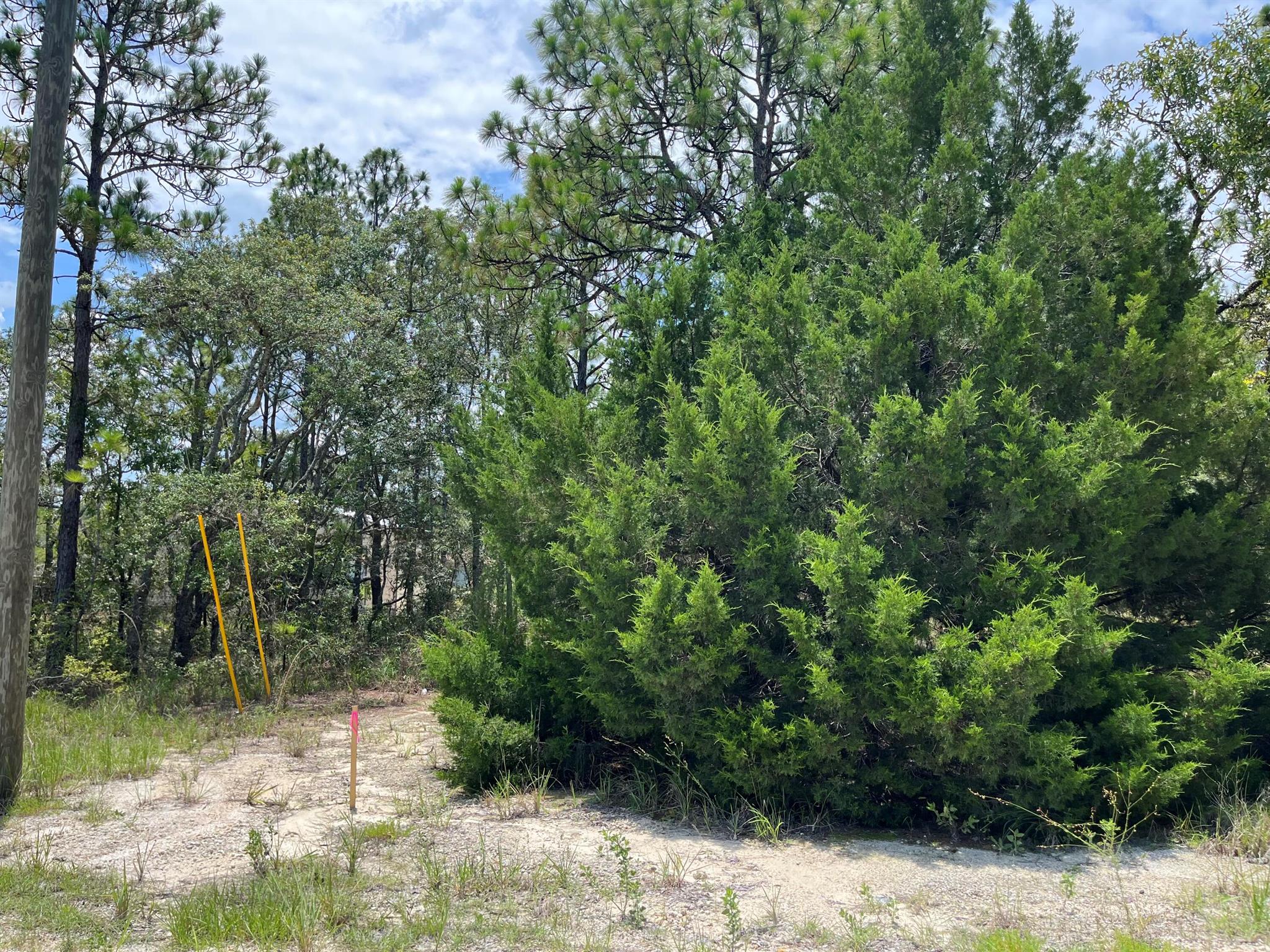 Build your dream house on this beautiful high and dry almost half acre lot in desirable Royal Highlands area with no HOA and not in a flood zone. New and existing homes are already in the area, waiting for your home to be built. Electricity is nearby, making it easy to access power. It's a quiet neighborhood but just minutes from shopping, dining, hospitals, the Weeki Wachee River, boat ramps, beaches, and many other amenities. This lot is listed below market value! Buying land in Florida is a solid investment for your future--build your dream home, vacation home, rental investment, or let the land build value as a great long-term investment to resell for a future profit.
