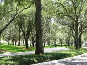 Meadows Parcel 52 - Residential