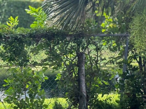 Tiny photo for 4259 Empress Street, Palm Beach Gardens, FL 33410 (MLS # B26054568)