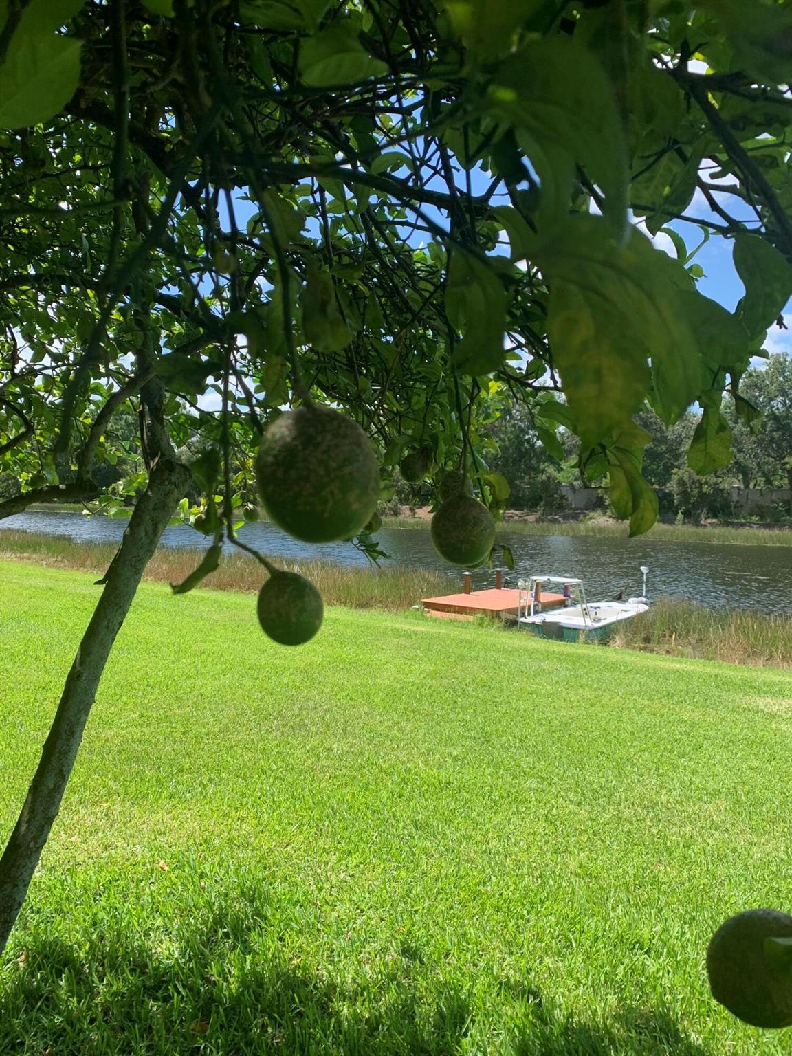 HARBOUR ISLES AT LAKE CHA - Residential Lease