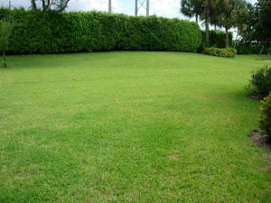 PALM ISLES I, II AND III - Residential