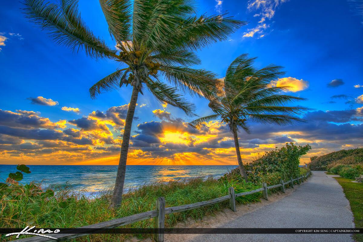 Palm Beach Country Estate - Residential