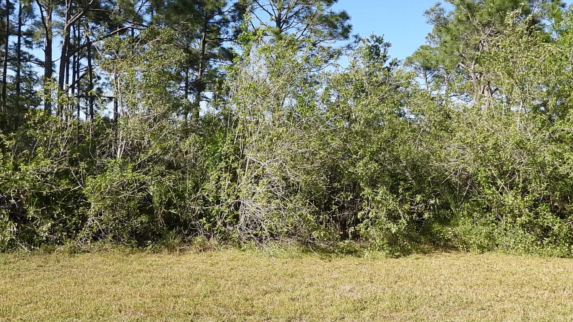 TREASURE COAST AIRPARK - Land