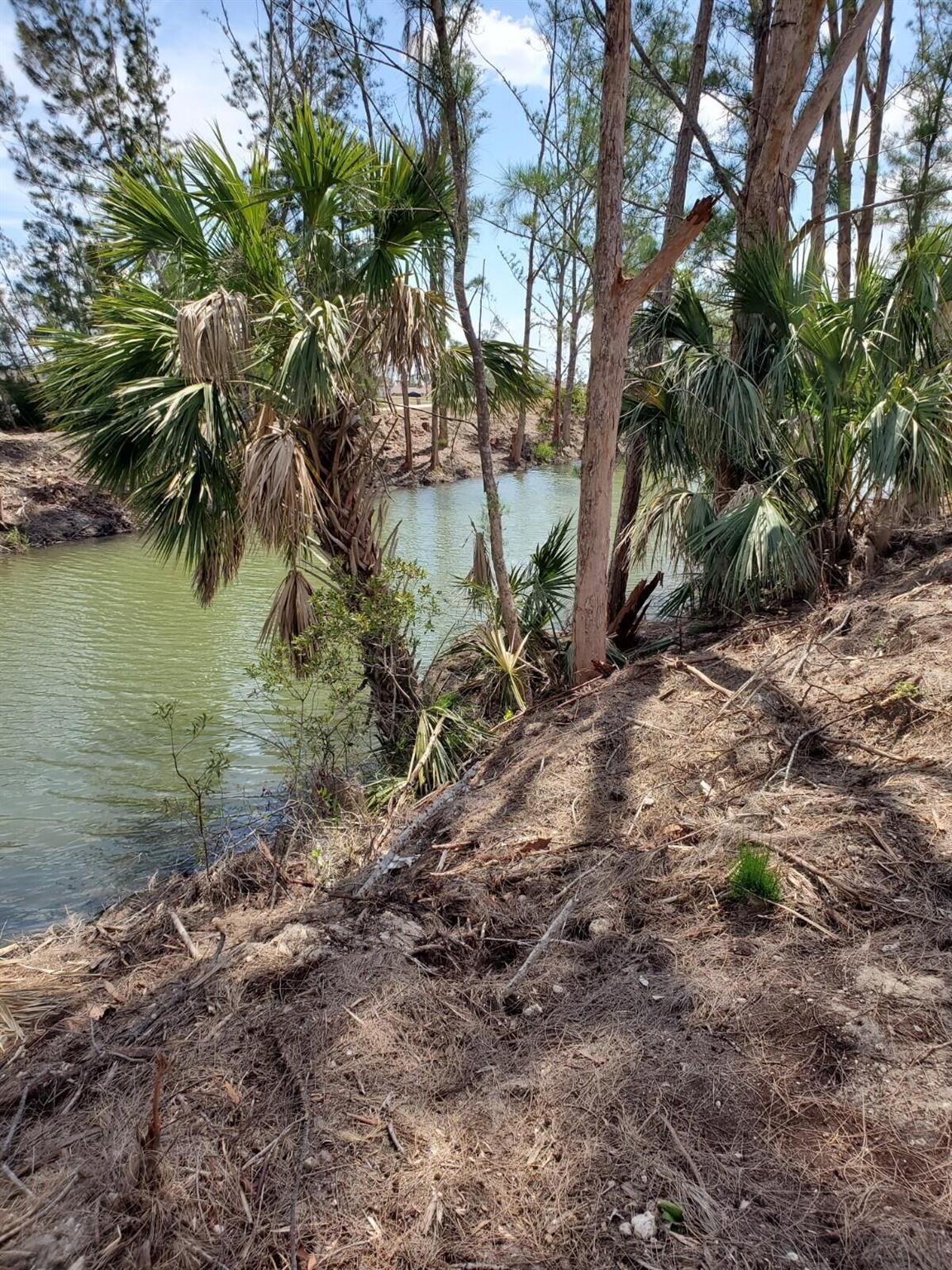 Here is the perfect waterfront lot you are looking for, located in very popular Gator Circle in Cape Coral where homes are either New or Newer Homes, There are 400 Miles of fresh-water and salt-water canals in Cape Coral, far surpassing any other city in the world, very nice canal in the back that connects to the main canal that goes for miles, great for fishing and other water sports. this lot is approximately 85' X 125' it is mostly cleared and it's high and dry and on Paved Road. Not far from Cape Coral Beaches, Sanibel Island Beach and Fort Myers beaches. Get your piece of Florida right now and build your future home.