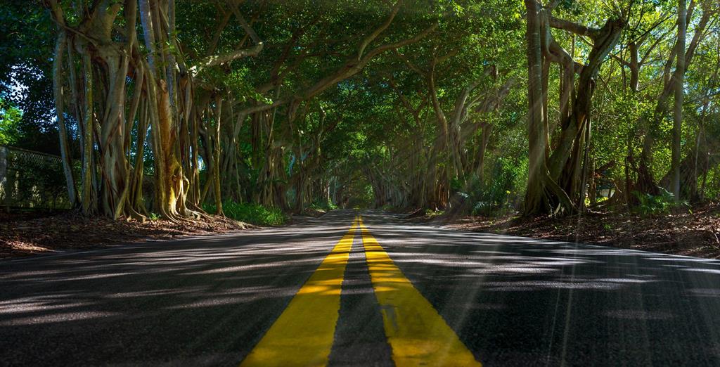 HARBOR ESTATES SEC 1, 2, 3 & 4 - Residential