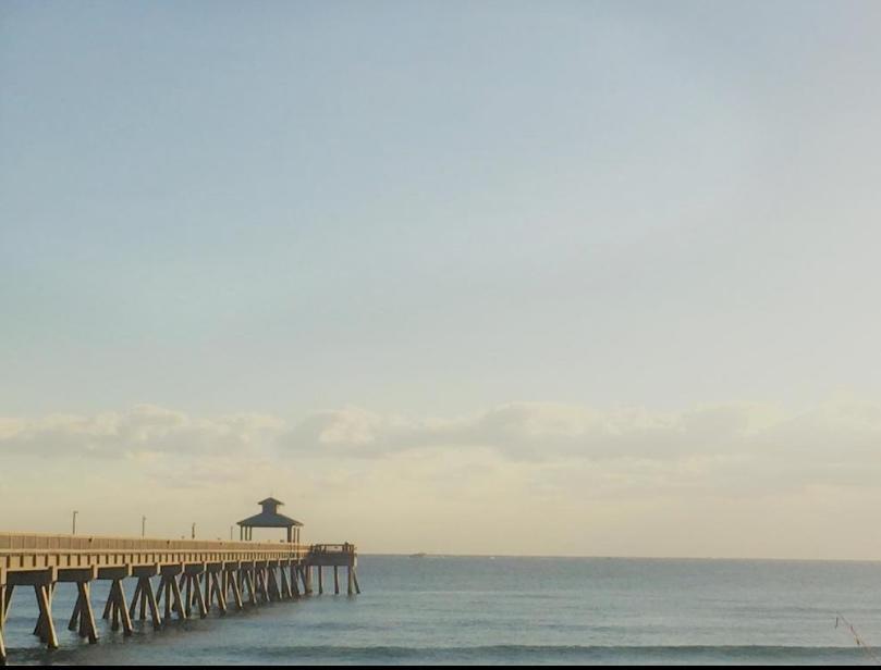 BOCA TERRACE CONDO - Residential Lease