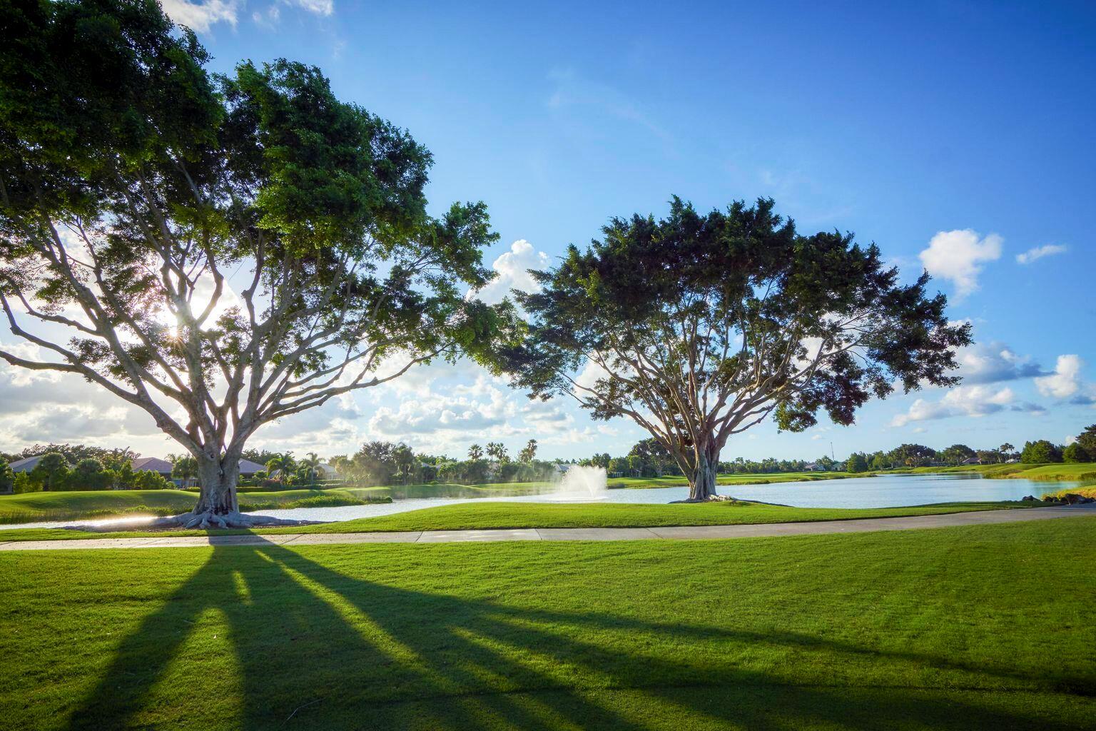 IBIS GOLF AND COUNTRY CLU - Residential
