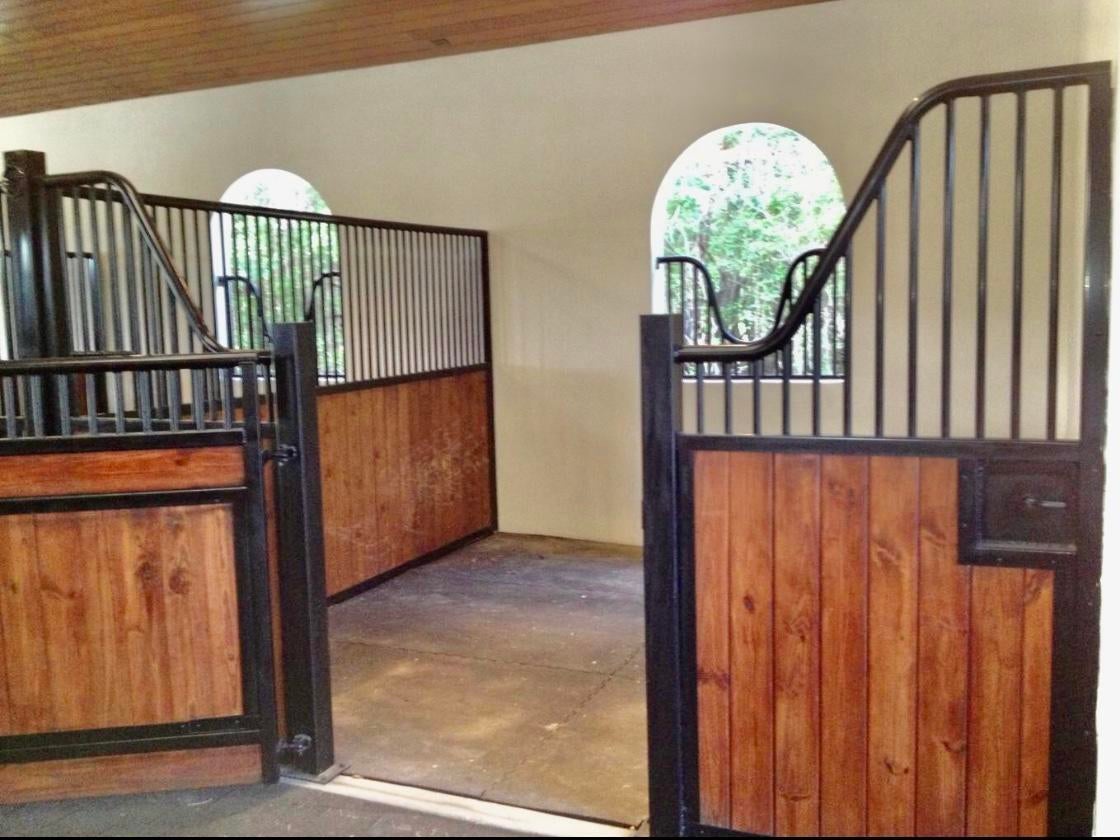 2583 Appaloosa Trail