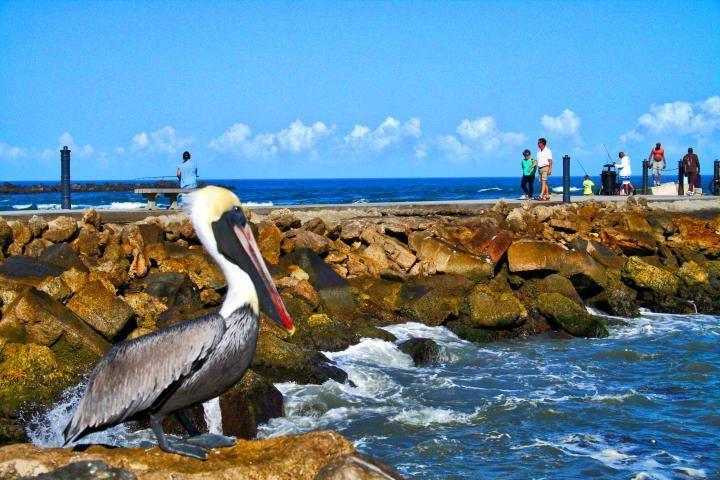 OCEAN HARBOUR CONDOMINIUM - Residential Lease