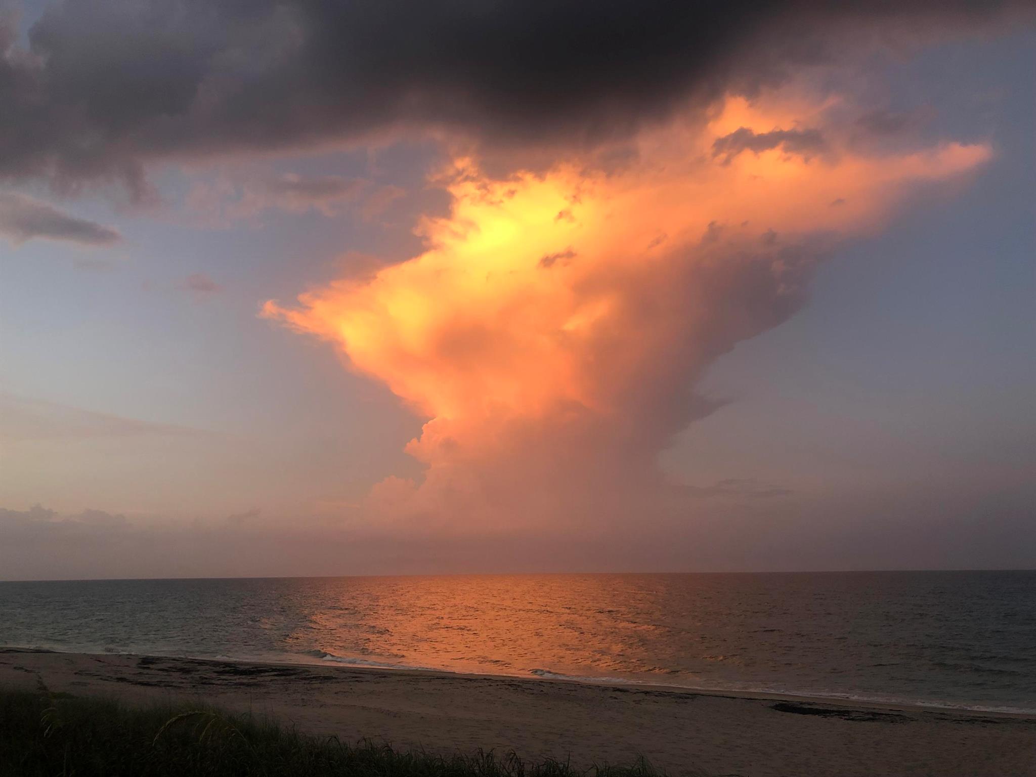 OCEAN HARBOUR CONDOMINIUM - Residential Lease