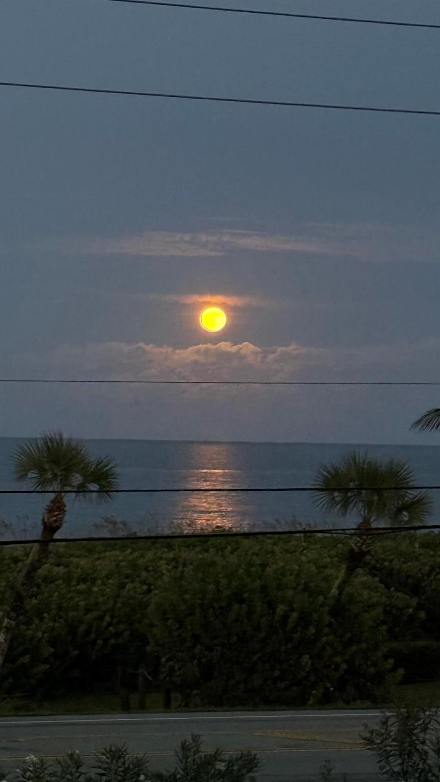 OCEAN HARBOUR CONDOMINIUM - Residential Lease