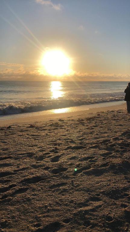 OCEAN HARBOUR CONDOMINIUM B - Residential Lease