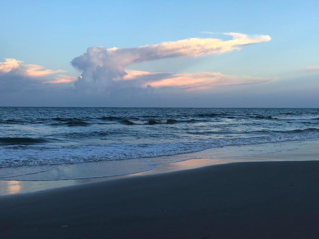 OCEAN HARBOUR CONDOMINIUM B - Residential Lease