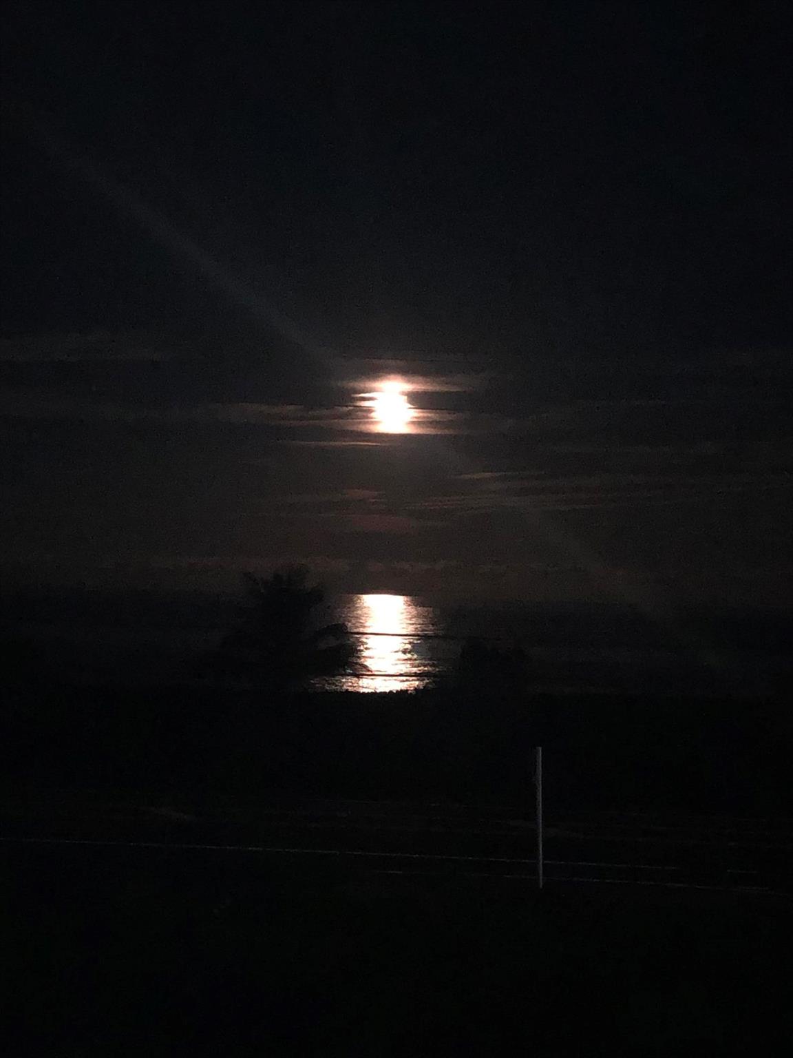 OCEAN HARBOUR CONDOMINIUM - Residential Lease