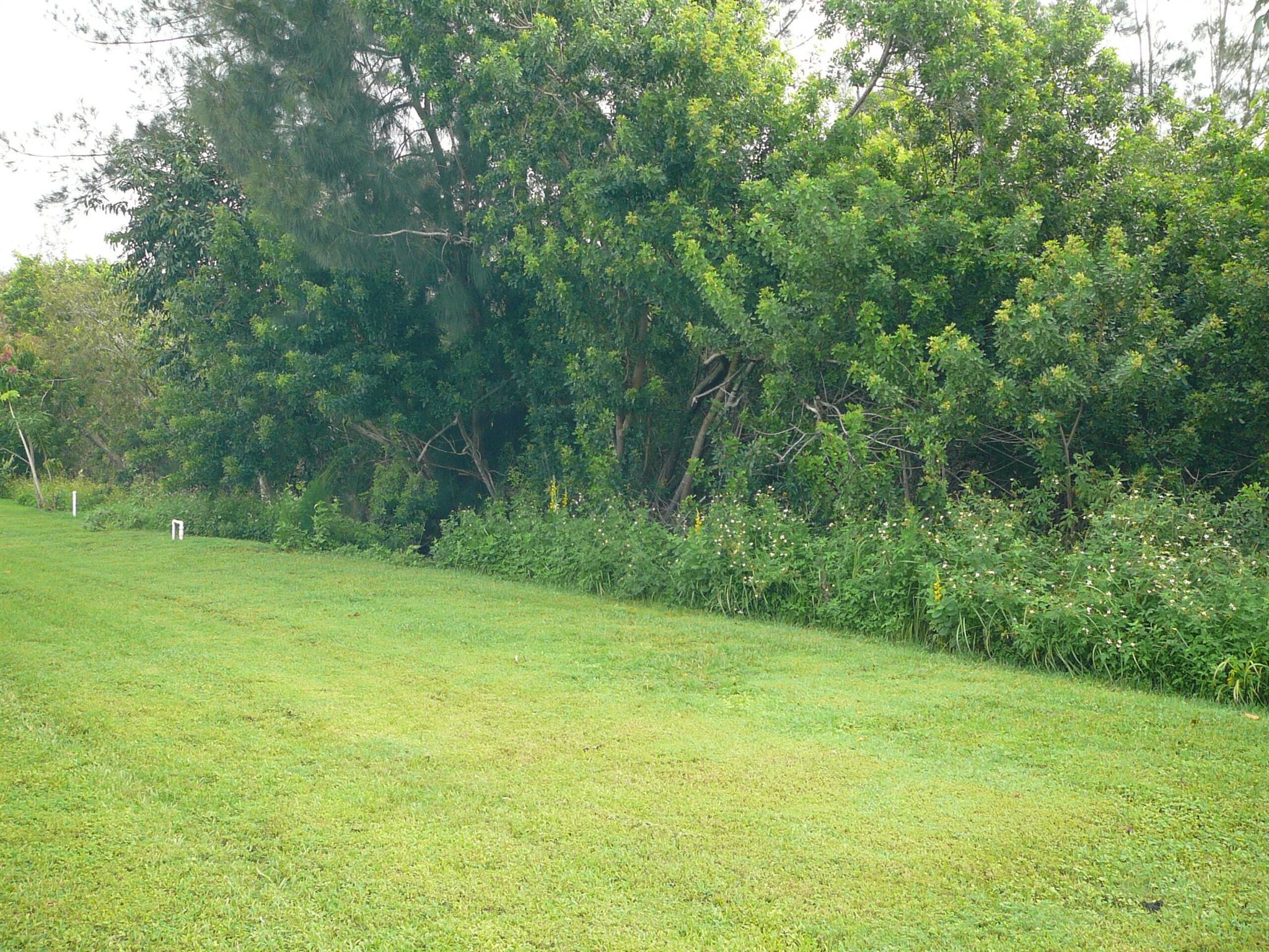 LAS PALMAS - Residential