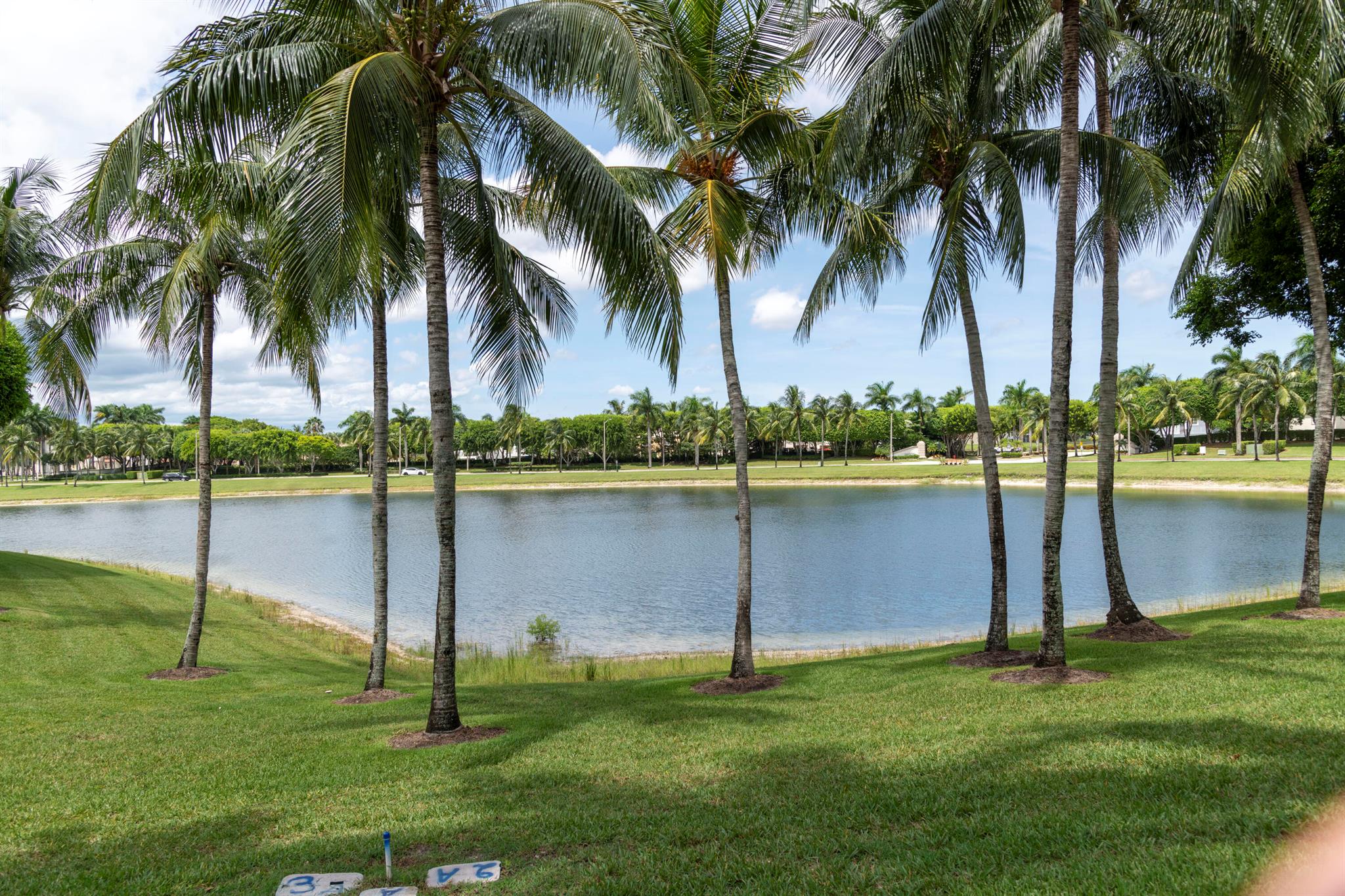 OLYMPIA 1 - Residential