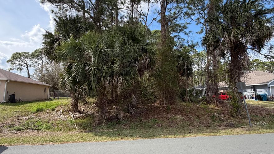 Build your dream home on this 80x125 residential lot in the growing city of Palm Bay. With many homes on the market reaching record prices, this is a great opportunity to build a brand new home with a local builder- often for less than the cost of an existing home. Imagine no extra costs of upgrades, roof, ac, paint. You design the layout, finishes, and features ! Whether your looking to build or seeking an investment this lot offers an  excellent opportunity.