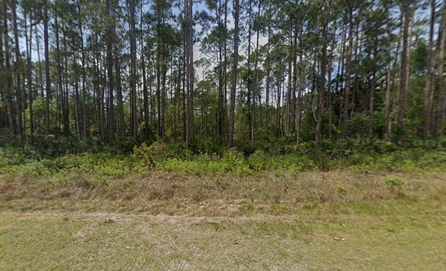Discover the perfect opportunity to own a slice of Florida living in charming Georgetown! This property offers a peaceful setting surrounded by natural beauty, making it ideal for those seeking privacy, relaxation, or a weekend retreat. Located just minutes from Lake George and the St. Johns River, this property provides easy access to boating, fishing, and outdoor recreation. Whether you're looking to build your dream home, invest, or enjoy a quiet escape, this location delivers endless potential. Conveniently situated with access to nearby towns while still maintaining a serene, rural feel. Don't miss your chance to own property in this growing area of Georgetown! Buyer to perform their own due diligence regarding zoning, utilities, and land use.