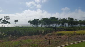 HARBOUR ISLE AT HUTCHINSON ISLAND WEST A CONDOMIN - Residential